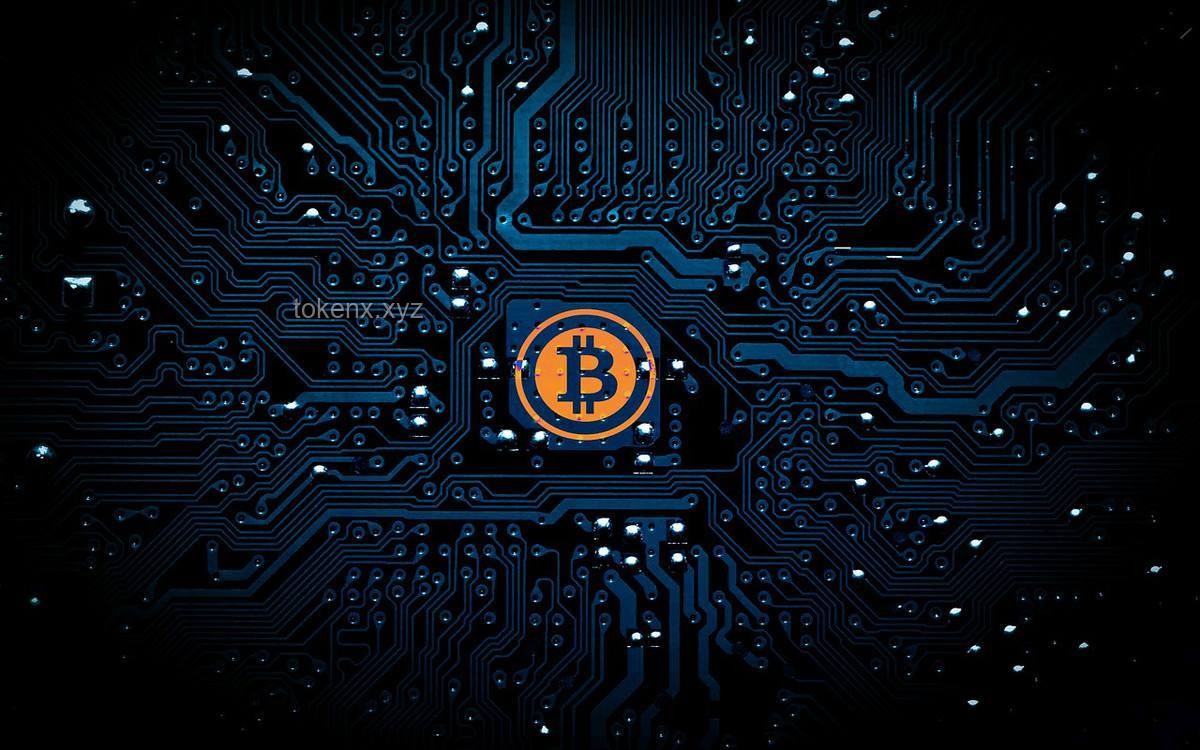 隋卞MCN网暴风波：真相曝光与自我锤爆的深度剖析